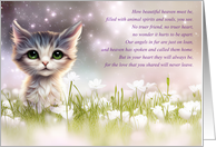 Cat Pet Sympathy Spiritual Poem Kitten in White Flower Field Heaven card