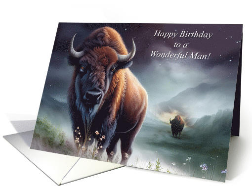 Birthday for Him for Man Happy Birthday Wonderful Man with Bison card