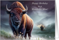 Birthday for Him for Man Happy Birthday Wonderful Man with Bison card