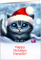 Custom Name Danielle Happy Holidays Christmas with Cat and Ornament Cute card