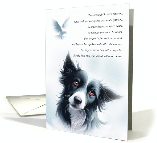 Dog Pet Sympathy with Spiritual Poem and Dove Border Collie Pup card