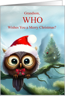 Grandson Christmas Holiday with Cute Owl and Xmas Tree Fun card
