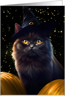 Black Cat and Witch Hat Pumpkins with Stars Happy Halloween card