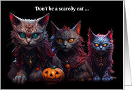 Halloween Humorous Scary Cat Vampires with Glowing Eyes Funny card