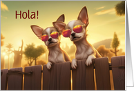 Hi Hello Cute Chihuahua Dogs With Shades Hola Custom card