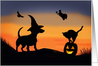 Halloween Funny with Dachshund Dog Witch Cat Raven Jack O Lantern card