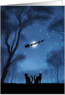 Christmas Happy Holidays with Cats in the Night and Santa Sleigh card