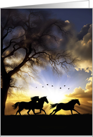 Horse Sympathy Loss of Horse Condolences with Pretty Free Horses card
