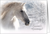 Horse in the Snow Seasons Greetings with Flowing Mane Custom Text card