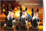 Thinking of You Funny Humorous 3 Horses and a Barn Checking In card