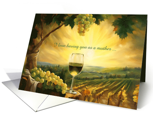 Mother Happy Birthday Custom with Wine and Vineyard Humorous card
