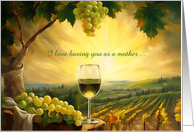 Mother Happy Birthday Custom with Wine and Vineyard Humorous card
