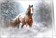 Christmas Holiday Seasons Greetings with Beautiful Appaloosa and Snow card