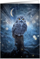 Christmas Happy Holidays with Pretty Owl and Crescent Moon Snow card