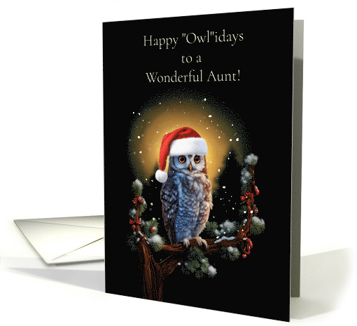 Aunt Happy Holidays with Cute Owl in the Moon Light Christmas card