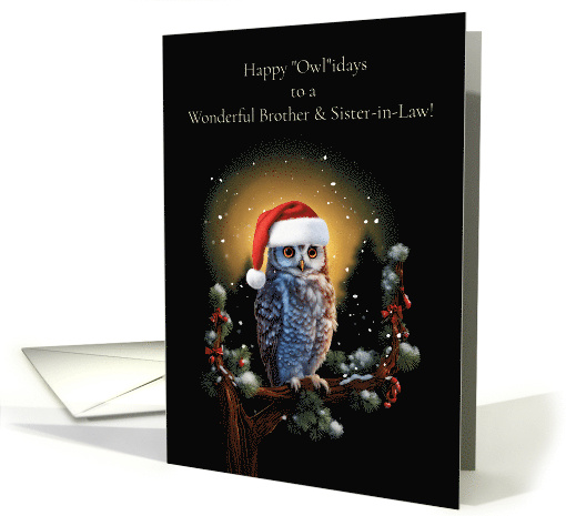 Brother and Sister in Law Happy Holidays with Cute Owl and Moon card