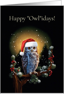 Happy Holidays Christmas with Owl and Moon Cute card