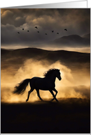Horse Sympathy Horse in the Sunset Beautiful Condolences Loss of Horse card