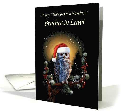 Brother in Law Happy Holidays with Cute Owl and Xmas Perch Custom card