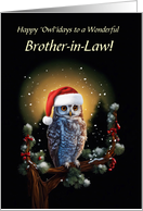 Brother in Law Happy Holidays with Cute Owl and Xmas Perch Custom card