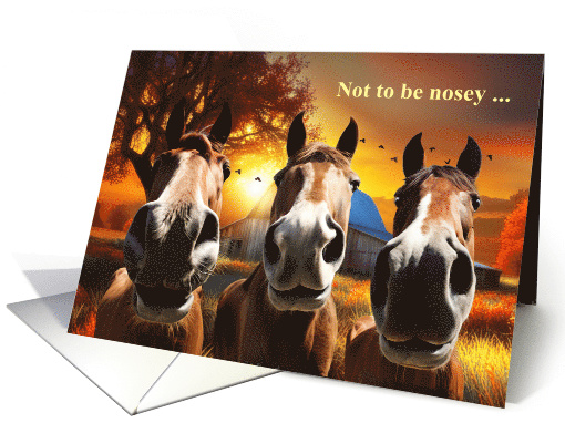 Birthday Horses Humorous Funny with Equine Noses and Barn card