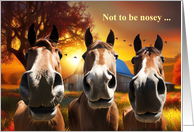 Birthday Horses Humorous Funny with Equine Noses and Barn card