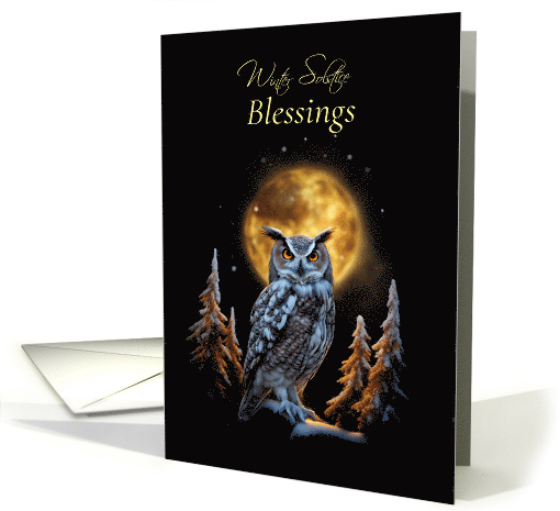 Winter Solstice with Owl and Moon Blessing Original Poem... (1803034)
