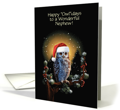Nephew Happy Holidays with Cute Owl and Santa Hat Customizable card