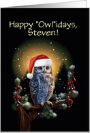 Christmas Happy Holidays Custom Name with Cute Owl in Santa Hat card