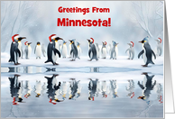 Minnesota Christmas Holiday Funny and Cute Penguins Custom Text card