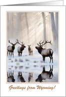 Wyoming Cute Elk in Snow Customizable Cover Text Seasons Greetings card