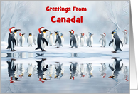 Greetings from Canada Cute Penguins in the Snow with Hats Custom card