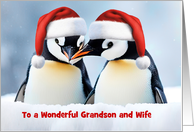 Grandson and Wife Cute Penguins Christmas Holiday Customizable card