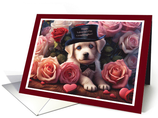 Granddaughter Happy Valentine's Day with Cute Puppy in... (1807156)