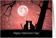 Valentines Day General for Anyone with Cute Cats and Moon Custom card