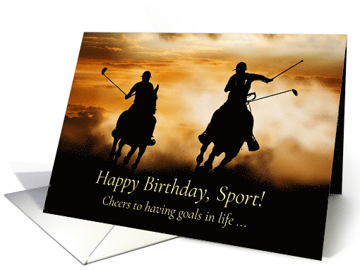 Birthday Polo Match with Polo Ponies and Riders Horse... (1818288)