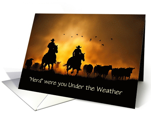 Get Well Feel Better Under the Weather Country Wester... (1818584)