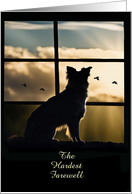 Dog Sympathy with Dog Sunset Birds in Window Customizable card