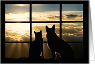 Thinking of You Cute dog and Cat in Window with Pretty Clouds Sun card