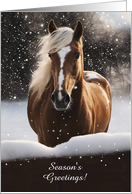 Seasons Greetings Pretty Brown Horse in the Snow Custom Text card