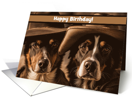 Birthday Humor with Two Old Dogs with Cowboy Hats Custom Cover card