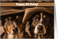 Birthday Humor with Two Old Dogs with Cowboy Hats Custom Cover card