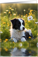 Thinking of You Cute Border Collie Type Dog in Flower Field with Water card