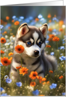 Thinking of You Darling Siberian Husky Puppy in Wildflower Field Cute card