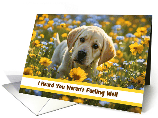 Get Well Feel Better Darling Yellow Labrador Puppy Custom... (1849124)