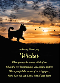 Dog Sympathy Yorkie...