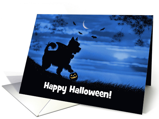 Cute Halloween Yorkie Dog Dressed as Vampire Trick or... (1849678)