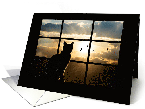 Cat Sympathy Loss of Cat with Beautiful Silhouetted Cat in Window card
