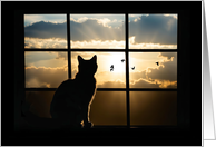 Cat Sympathy Loss of Cat with Beautiful Silhouetted Cat in Window card