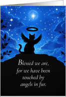Cat Sympathy Angel Cat Looking at the Heavens with Stars and Halo card
